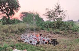 national news india news latest news