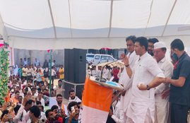 MP Elections 2020, Latest News