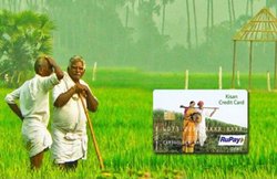 पीएम किसान योजना के लाभार्थियों का एक फॉर्म भरते ही बनेगा किसान क्रेडिट कार्ड, दो बीमा योजनाओं का फायदा भी