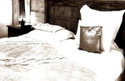 दिल्ली: प्रेमिका की हत्या कर शव को बेड के बक्से में डाल फरार हुआ, 4 राज्यों को क्रॉस कर पहुंचा गया असम और फिर…