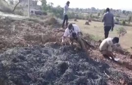 rajasthan case, viral video priest murder case