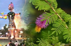 shami puja, ravan puja, dussehra puja