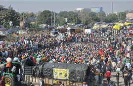 Farmers Protest, Farmers News, Farm Law, Punjab