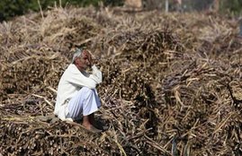 Farm Laws, Farmers, Punjab, BJP, INC
