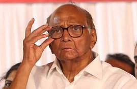 NCP, Sharad Pawar, Tejashwi Yadav