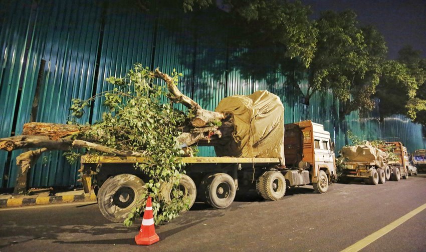 संसद भवन के निर्माण का काम शुरू हो चुका है। इसके लिए पेड़ों को ट्रांसफर किया जा रहा है।