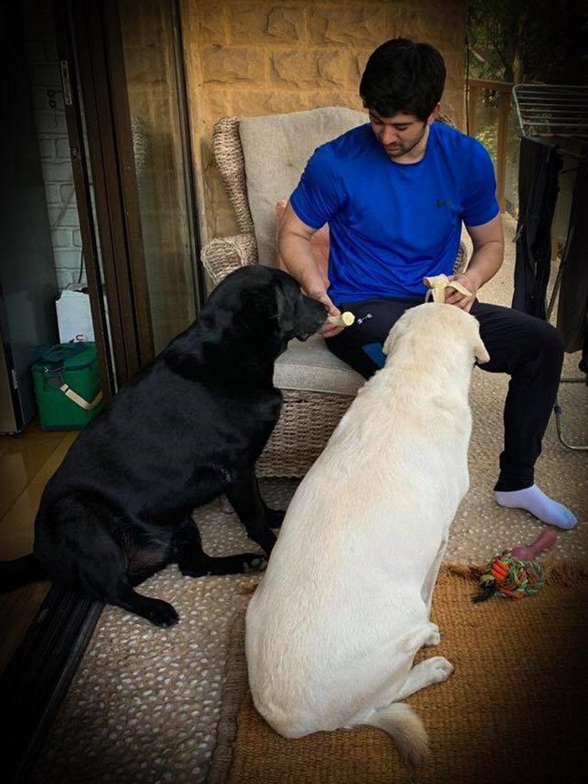 Sunny Deol Networth, Sunny Deol Affair