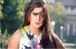 जिस पार्टी में नारी का सम्मान, उसका कर रहे प्रचार – बिहार चुनाव प्रचार में उतरीं भोजपुरी अभिनेत्रियां अंजना, पाखी और शुभी शर्मा