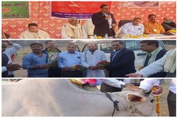 अंधेरे में आस जगाने की पहल: परेई के किसानों ने अन्ना गौपालन का उठाया बीड़ा, वर्षों की समस्या मिनटों में हल