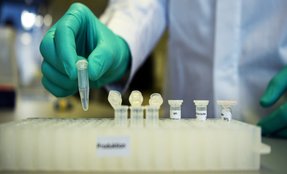 Coronavirus, Vaccine