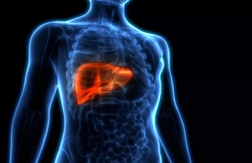 Fatty liver diet, what to avoid during fatty liver, fatty liver
