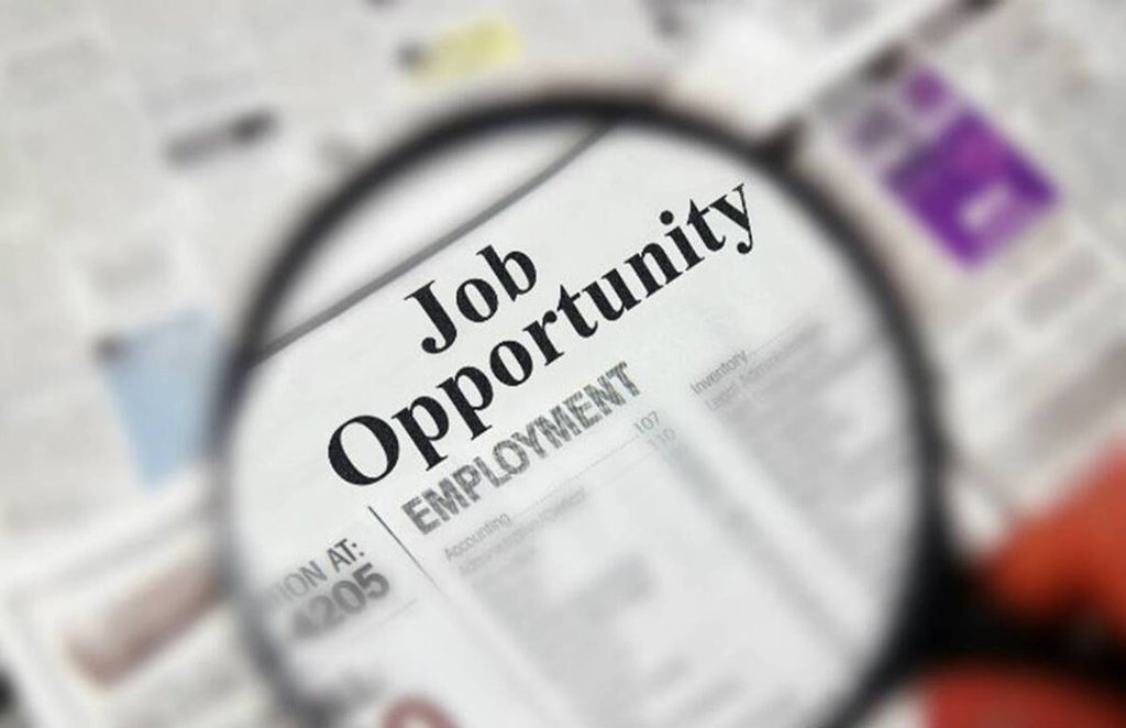 sarkari naukri, sarkari result, govt jobs