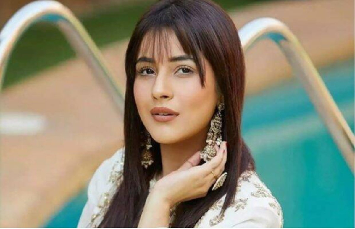 shehnaaz gill, bigg boss 14, shahnaaz gill in bigg boss 14