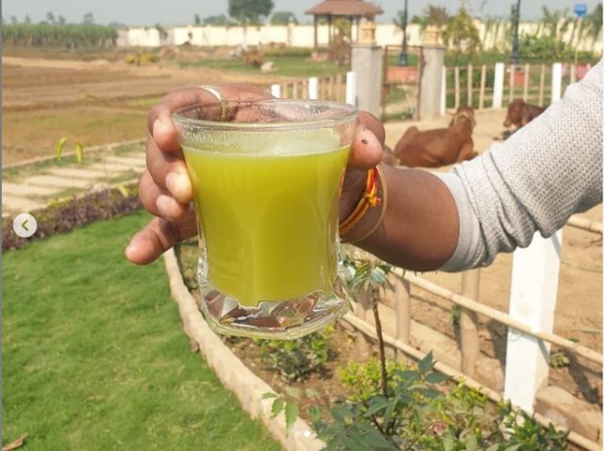 वह अकसर अपने इस केवी कुटीर की तस्वीरें शेयर करते रहते हैं।