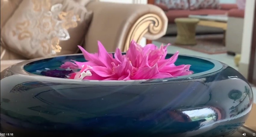 Manoj Tiwari Networth, Manoj tiwari BJP