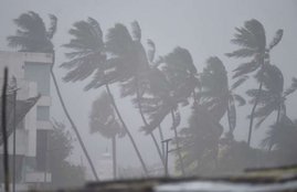Nivar Cyclone, Tamil Nadu, Puducherry