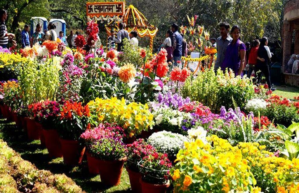 लोगों को अपनी ओर आकर्षित करतेे फूल। फाइल फोटो।