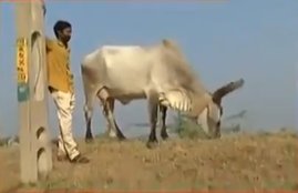 trending news india news