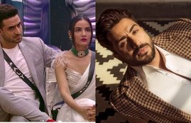 Bigg Boss 14, Aly Goni Shocking Revelation, Naagin Actress Jasmin Bhasin, Jasmin Bhasin,