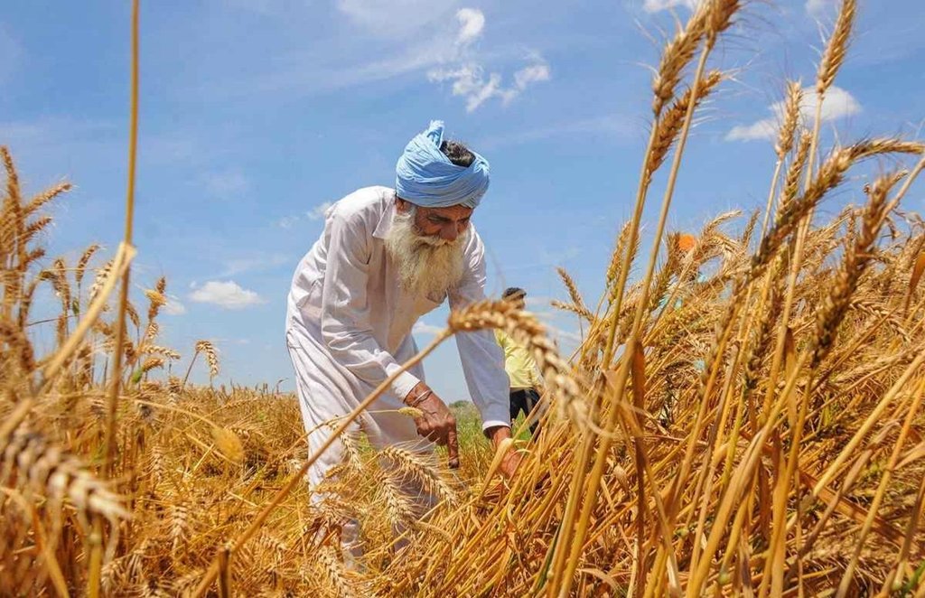 farmer protest, punjab farmer protest, farmers protest in delhi