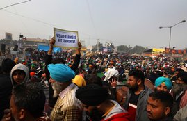 Farm Laws, Agriculture Laws, Farmers Protest, Narendra Singh Tomar