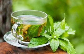 Weight Loss, belly fat, Weight Loss Tips, obesity, Fat burn, green tea