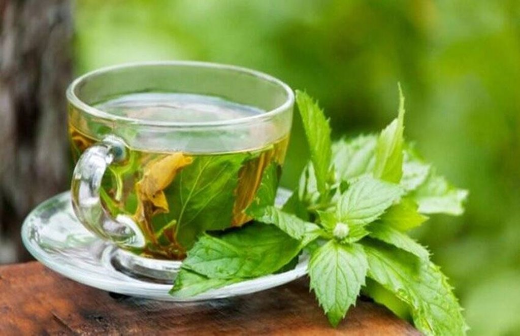 Weight Loss, belly fat, Weight Loss Tips, obesity, Fat burn, green tea