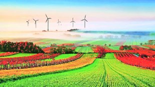 Agriculture