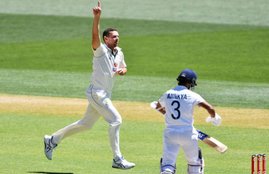 Josh Hazlewood, Indian Cricket Team, Adelaide test
