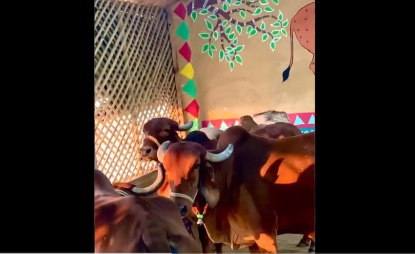 Kumar Vishwas Love Story, Kumare Vishwas networth