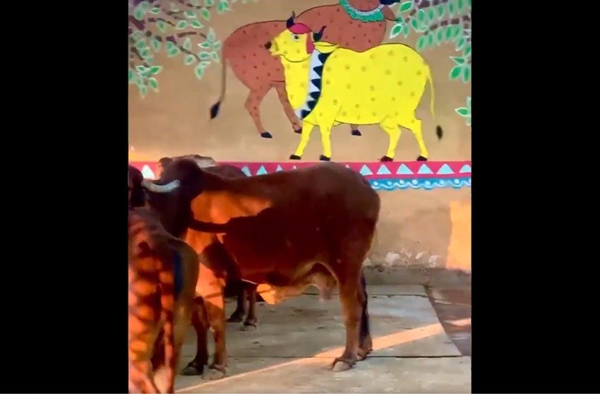 Kumar Vishwas Love Story, Kumare Vishwas networth