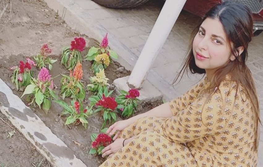 lalu prasad daughter Rajlakshmi yadav, lalu prasad daughter Rajlakshmi yadav, mulayam singh yadav