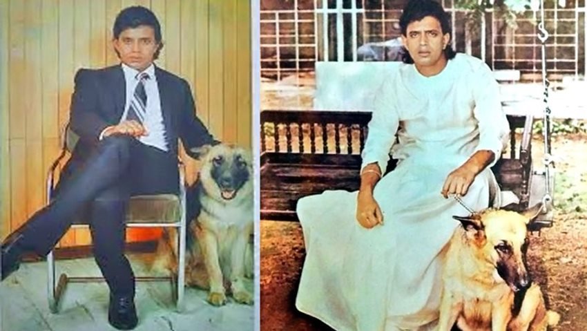 Sunny Deol Costar Mithun Chakraborty, Mithun Networth