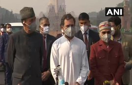 rahul gandhi, locksown