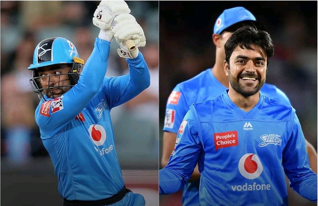 Rashid Khan BBL 2020 ALL Rounder