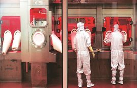 Oxford, Astra Zeneca, Coronavirus Vaccine