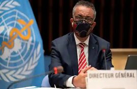 WHO chief covid-19 vaccine
