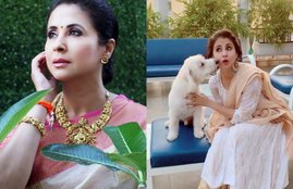 Urmila Matondker, Urmila Matondker Joined Shivsena, Urmila Matondker Wiki, Urmila Matondker Bio,