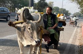 farms law, samajwadi party, sp leader, bjp