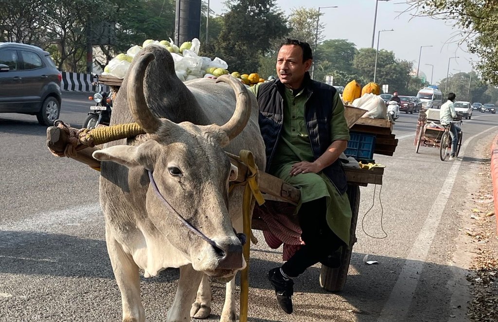 farms law, samajwadi party, sp leader, bjp