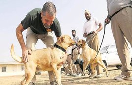 ITBP