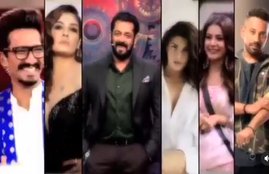 salman khan birthday, bigg boss 14, raveena tondon