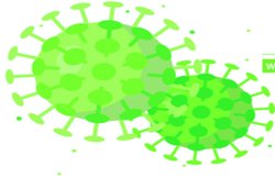 विश्व परिक्रमा: ‘रक्त में संक्रमण वाले मरीजों को अधिक खतरा’