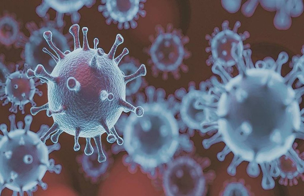 virus