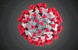 विश्व परिक्रमा : नाक, मुंह की झिल्लियां कोरोना प्रसार रोकने में अहम