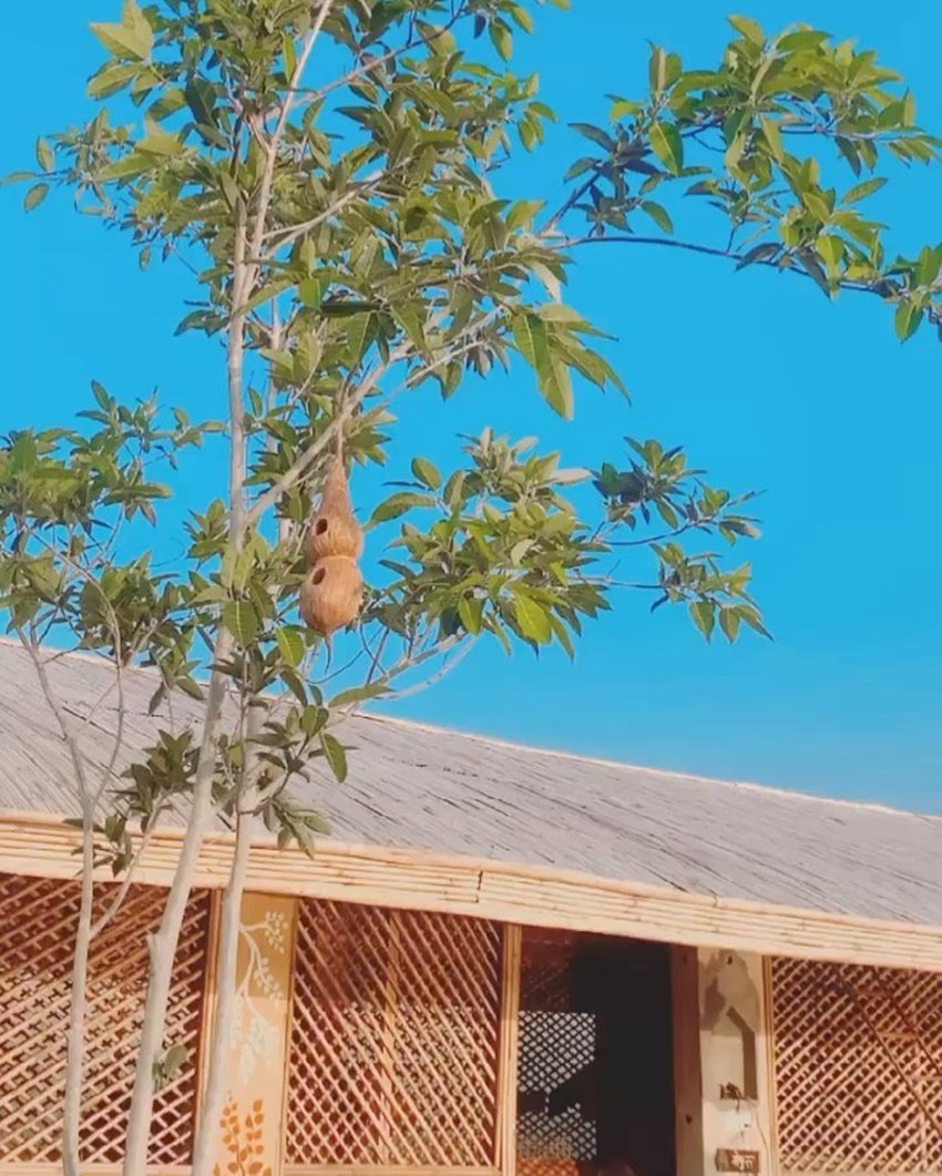 Kumar Vishwas Love Story, Kumare Vishwas networth