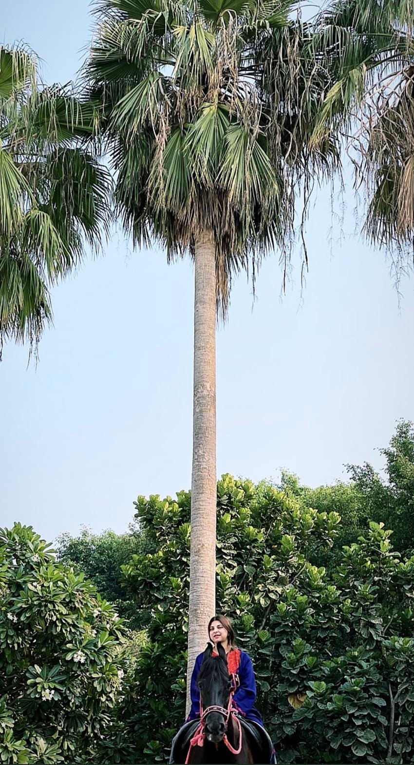 Lalu Yadav Daughter, Akhilesh Yadav