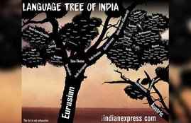 भाषा और बोलियां