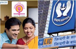 LIC, LIC news, policy