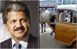 mahindra, video, social media